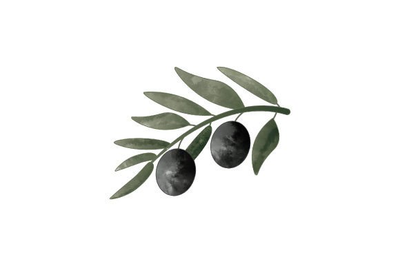 The Versatile Charm of Olive Branch Watercolor